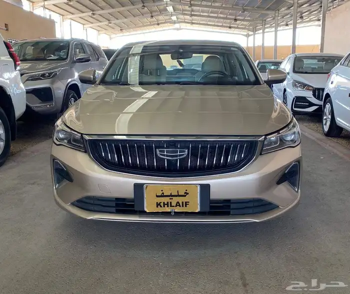 جيلى اميجراند 2023 0