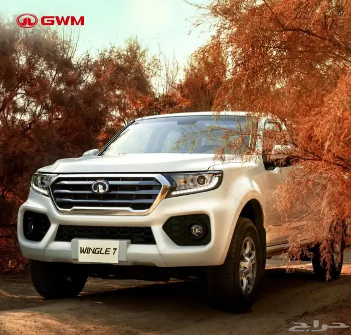 جريت وول ونجل7 م 2025 عروض مميزه جدااللشركات 0