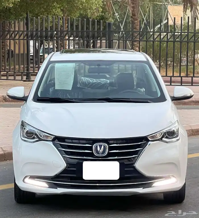 شانجان السفن 2025 فل سعودي 3