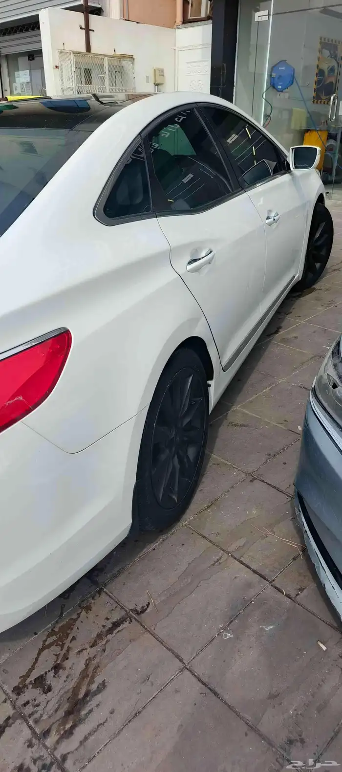 ازيرا م ديل 2014 6