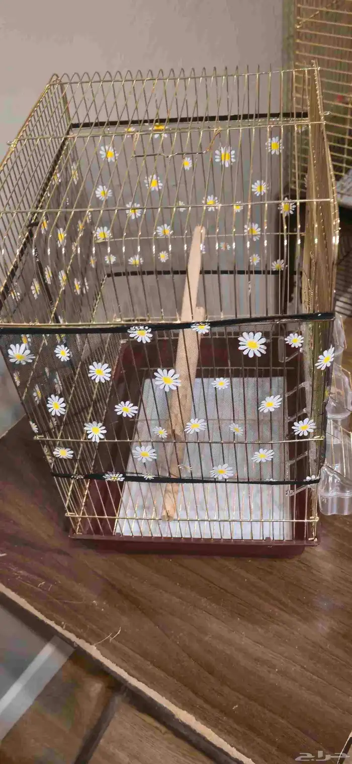 للبيع مجموعة اقفاص طيور 3