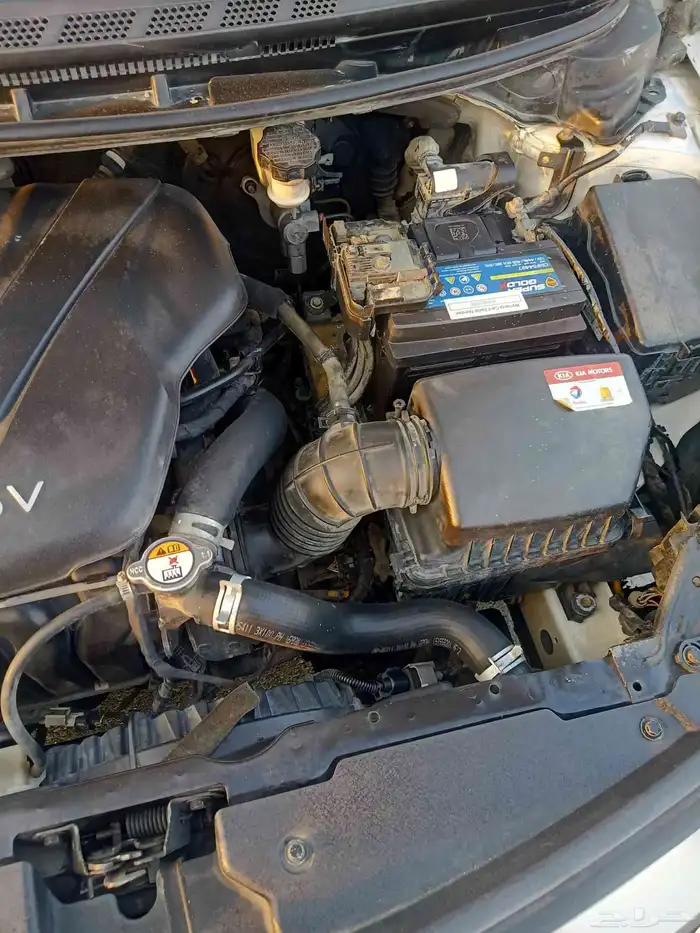 كيا سيراتو 11