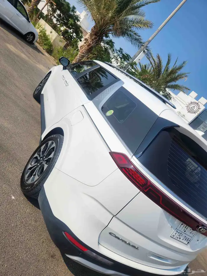 كرنفال 2021 للبيع 1