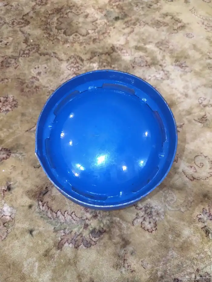 اتريك صغير سويدي مع دبه سويديه 4