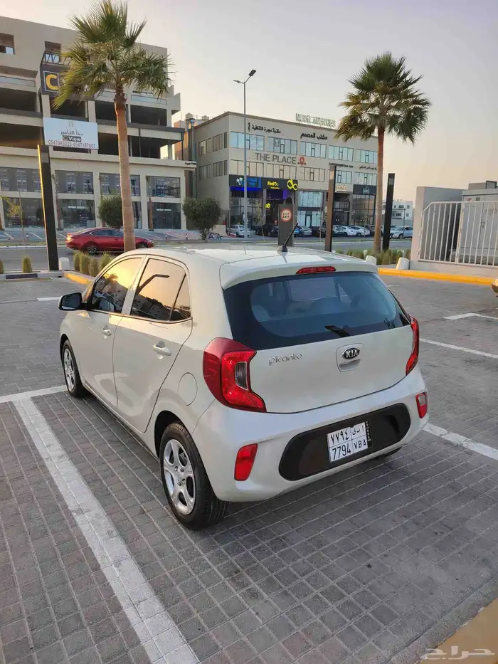 بيكانتو 2020 بدي وكاله 8