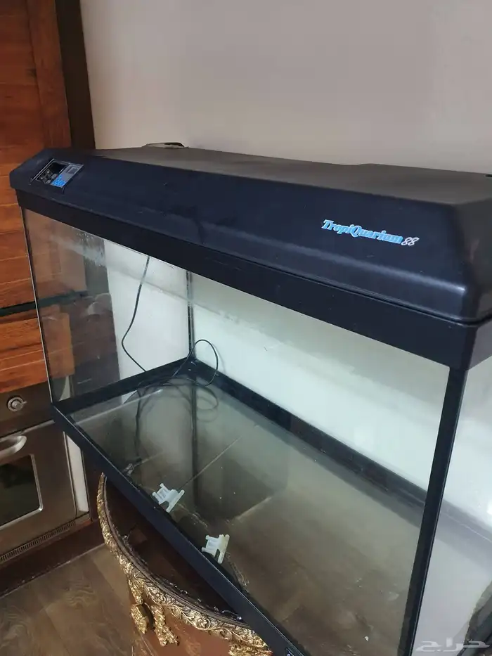 حوض سمك فارغ 1