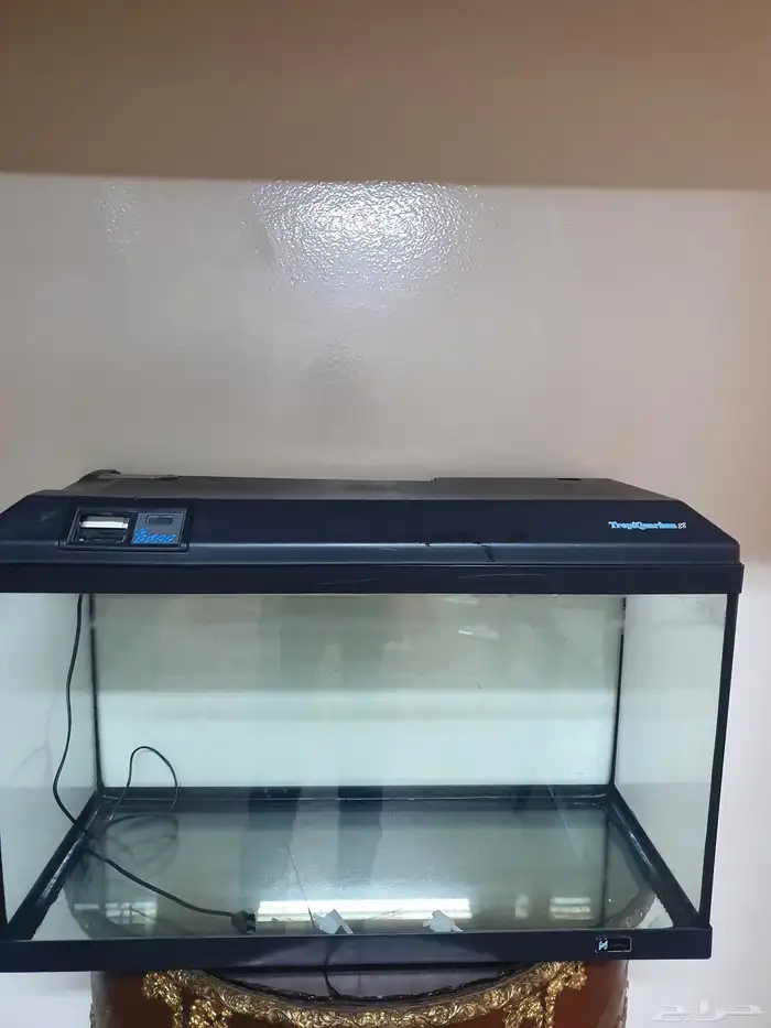 حوض سمك فارغ 2