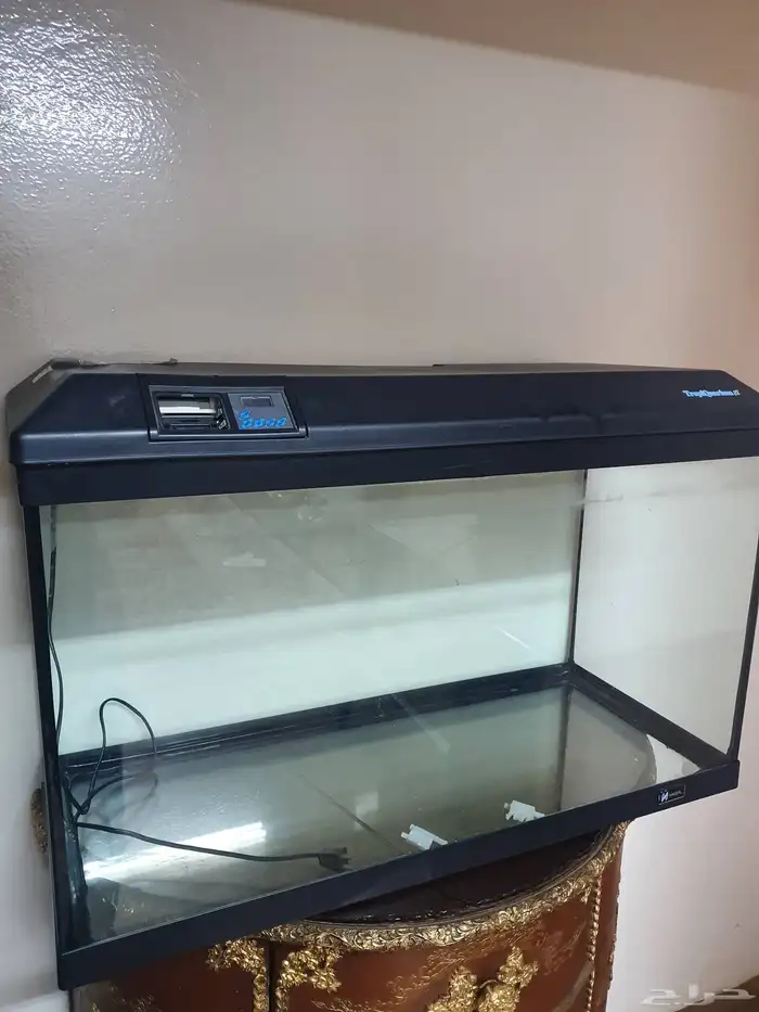 حوض سمك فارغ 0