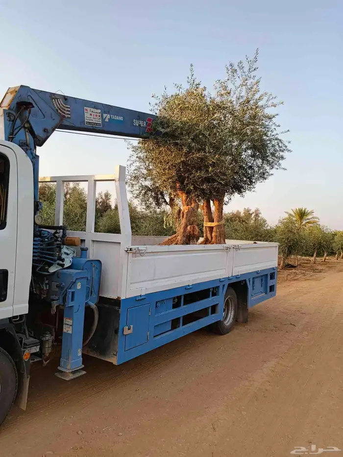 ونس 4طن تركيب انارات سله علا الونش 4