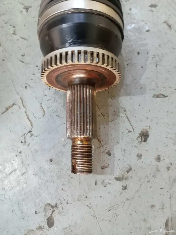 عكس كياء ابتيماء 2016 1