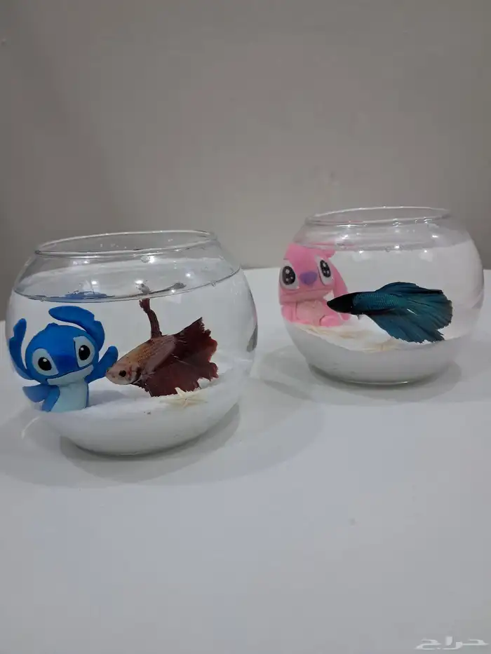 توزيعات سمك الفايتر 4