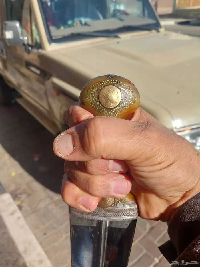 مكعبه زراف 1