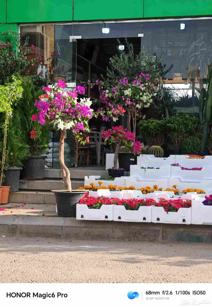 الزراعة الثيل الطبيعي وتركيب شبكات الري العادي والاتوماتيك 6