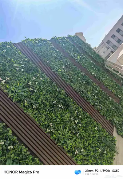 الزراعة الثيل الطبيعي وتركيب شبكات الري العادي والاتوماتيك index