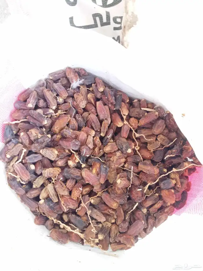 تمر علف اغنام والجمل وبقر موجود في رهاط 0