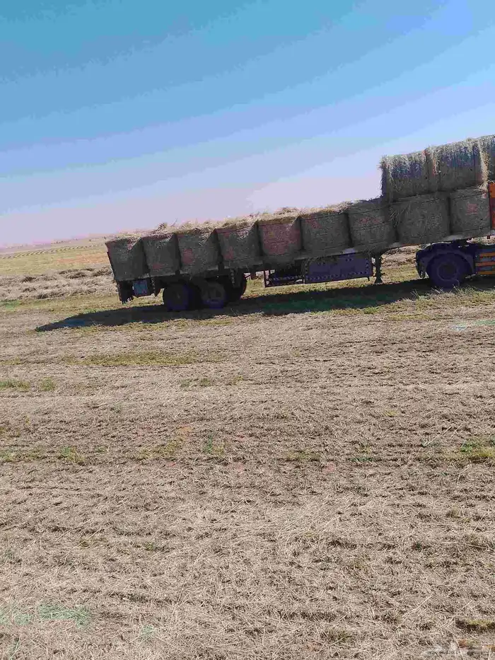 السلام عليكم ورحمه الله لفات رودس جديد ناعم طيب السعر 120 0