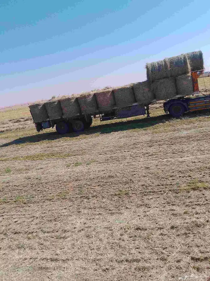 السلام عليكم ورحمه الله لفات رودس جديد ناعم طيب السعر 120 1