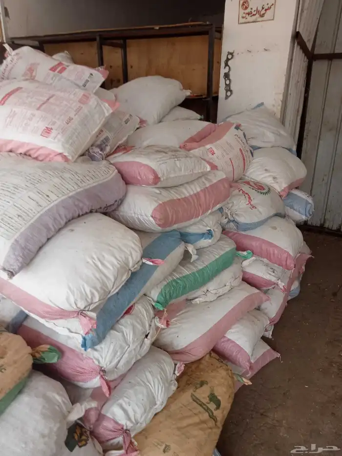 تمر علف اغنام والجمل وبقر موجود في رهاط 3