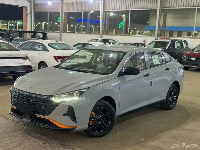 شاين دونج فينج 1 موديل 2025 اقل الاسعار 3