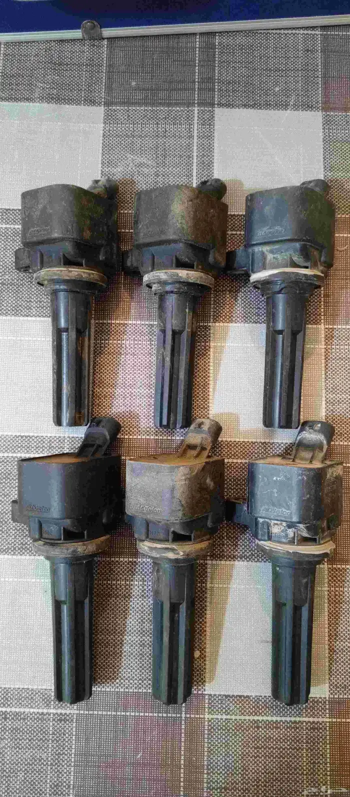 كويلات جيمس انفوي 0