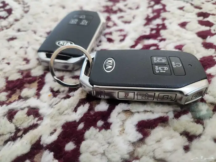 كرنفال 2021 للبيع 9