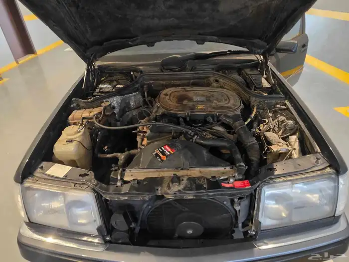 للبيع مكينه فرخ الشبخ 0