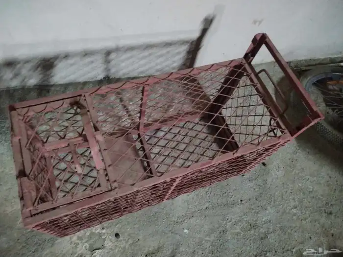 مصيدة للبيع 1