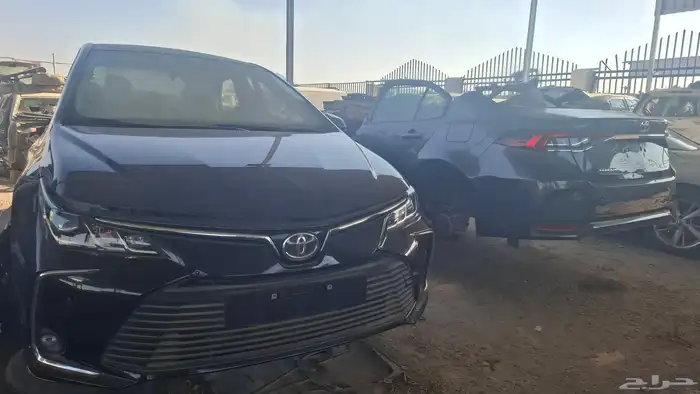 كولار من مديل 200لم مديل 24 0