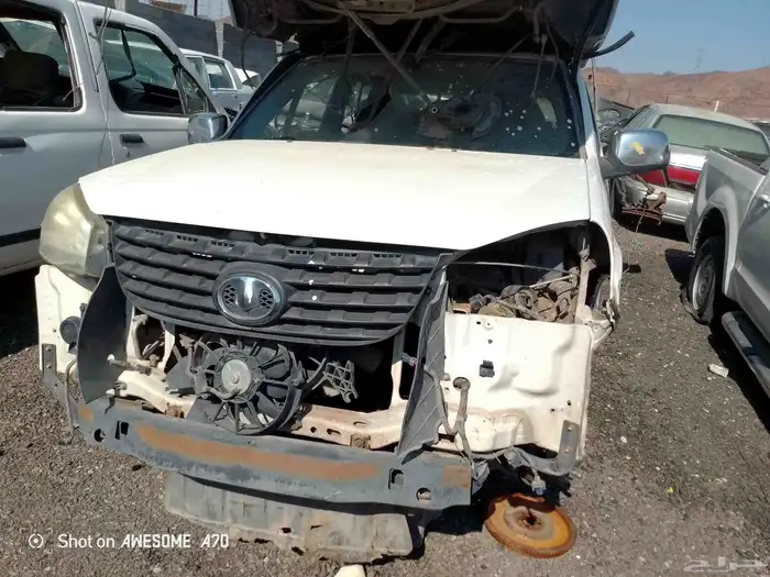 جرتويل مديل 2013 0