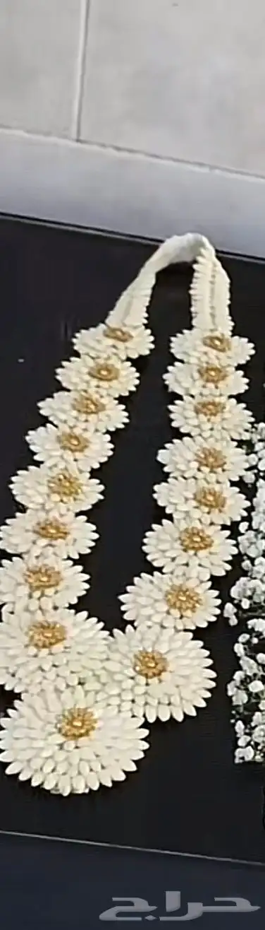 عضايه_تساريح_تسريحه_فل_ولبه  اكسبلورexplore  جازان_ابوعريش 1