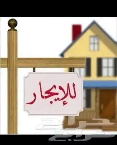 مطلوب دور عزاب للإيجار قرطبة - المونسية - الرمال 0