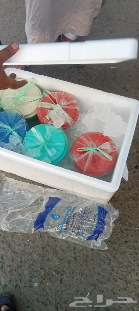 خضير بلدي فاخر من مزرعنا 1