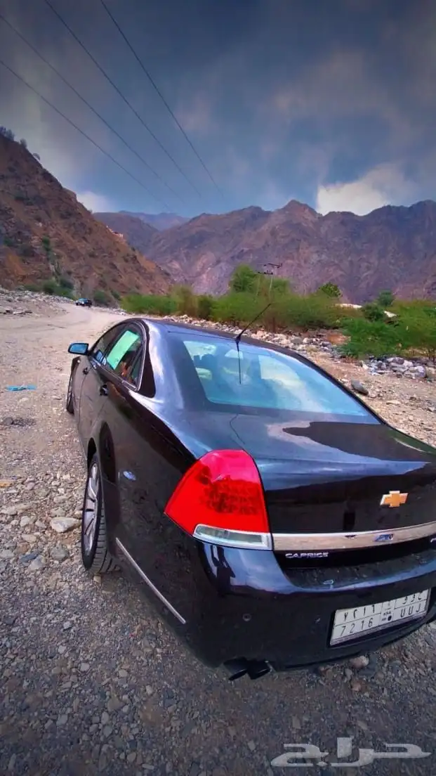 كابرس أمريكي 2013 4