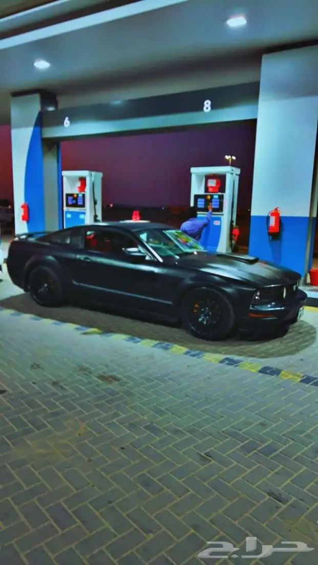 موستنج للبيع 2