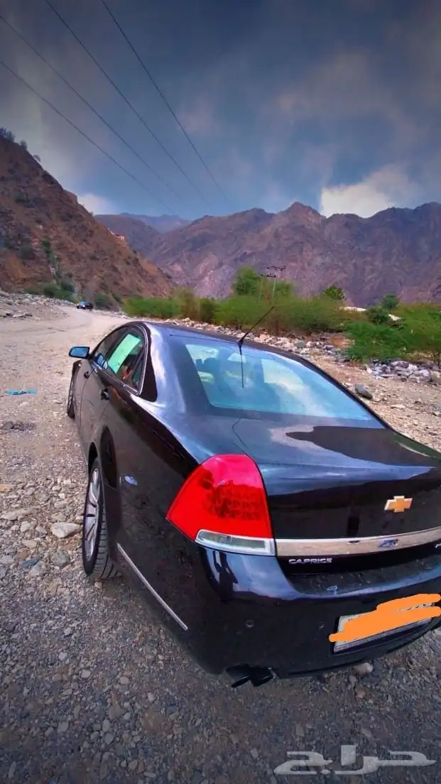 كابرس أمريكي 2013 2