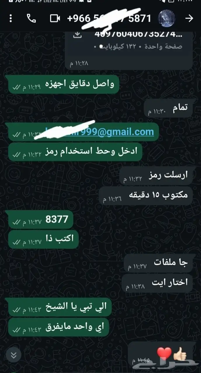 كوينز فيفا 26 FC . 13