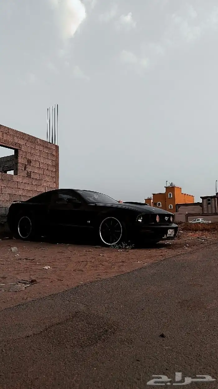 موستنج للبيع 5