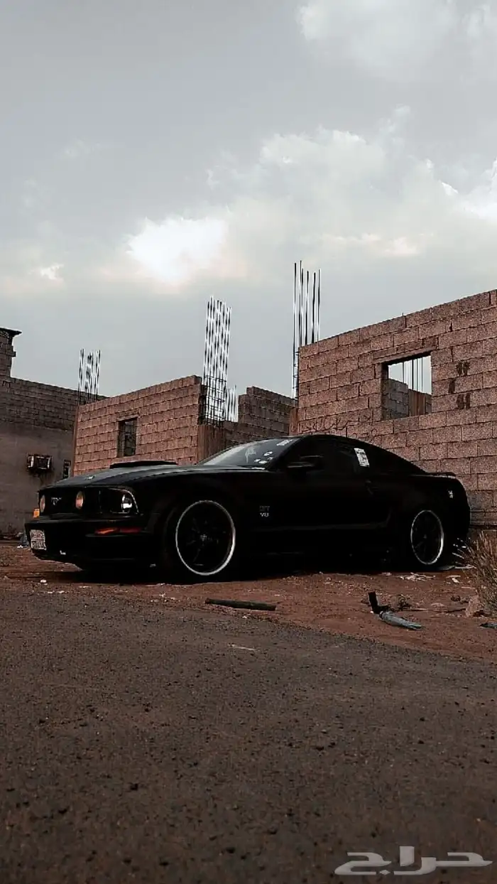 موستنج للبيع 6