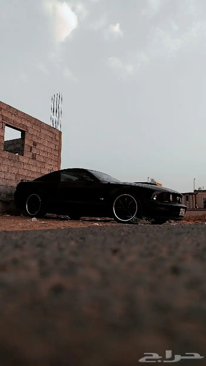 موستنج للبيع 0