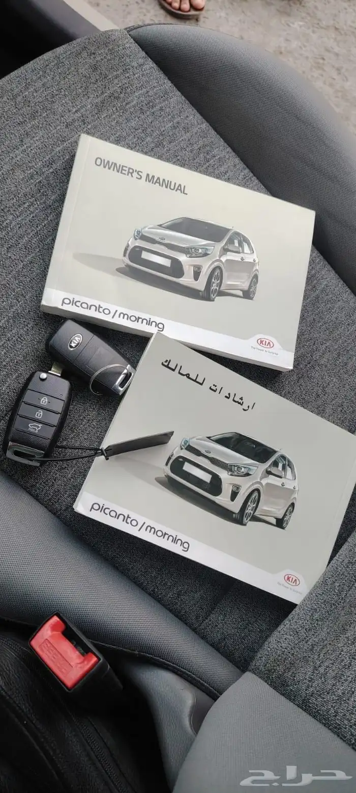 بيكانتو 2020 بدي وكاله 2