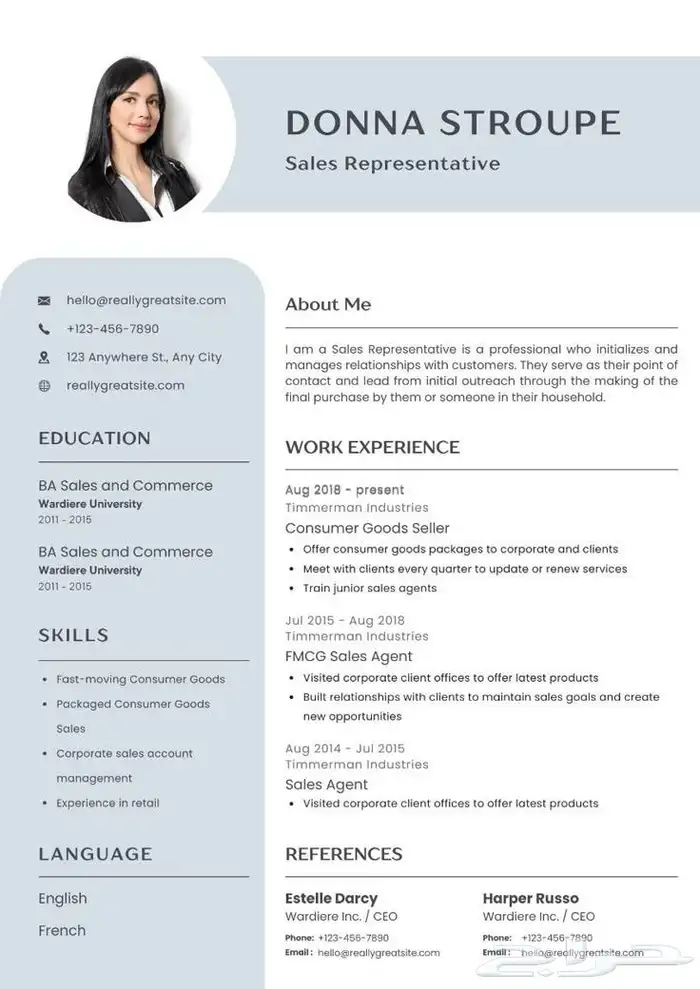 سيرة ذاتية ATS 1