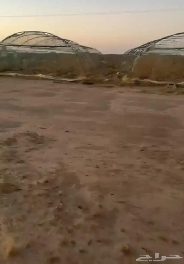 للبيع بيوت محمي خمسه بيوت شبيه الجديد وسعر طيب 2