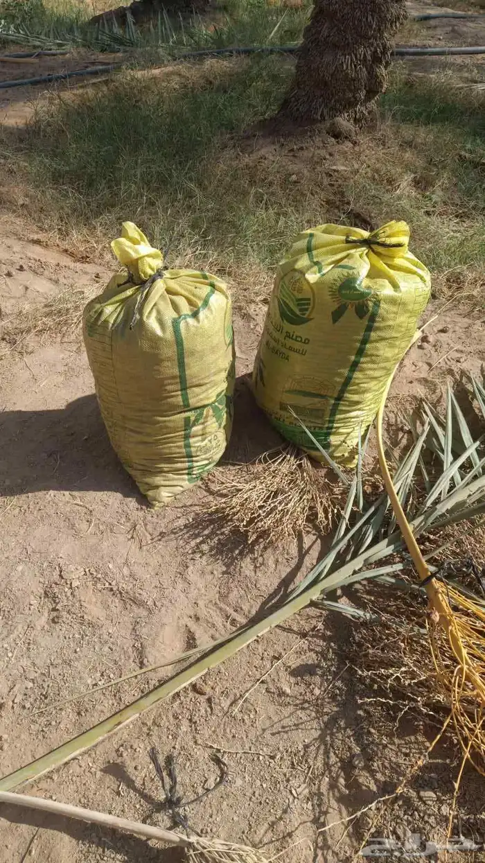 نفيع للحلال 1