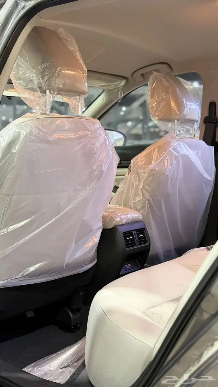 التيما 2025 17