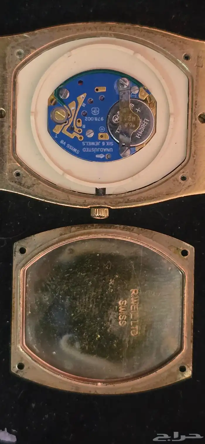 للبيع ساعة ربميند ويل سويسري 0