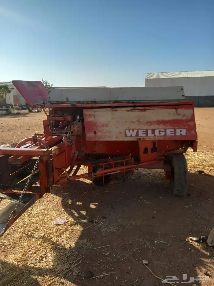 لبانه ولجر للبيع 3