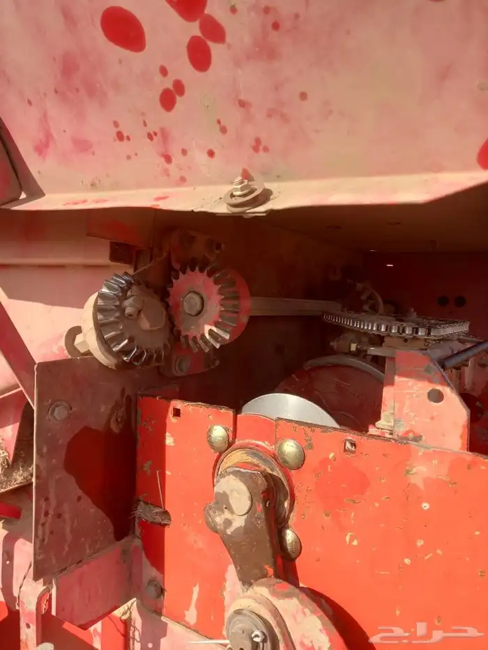 لبانه ولجر للبيع 4