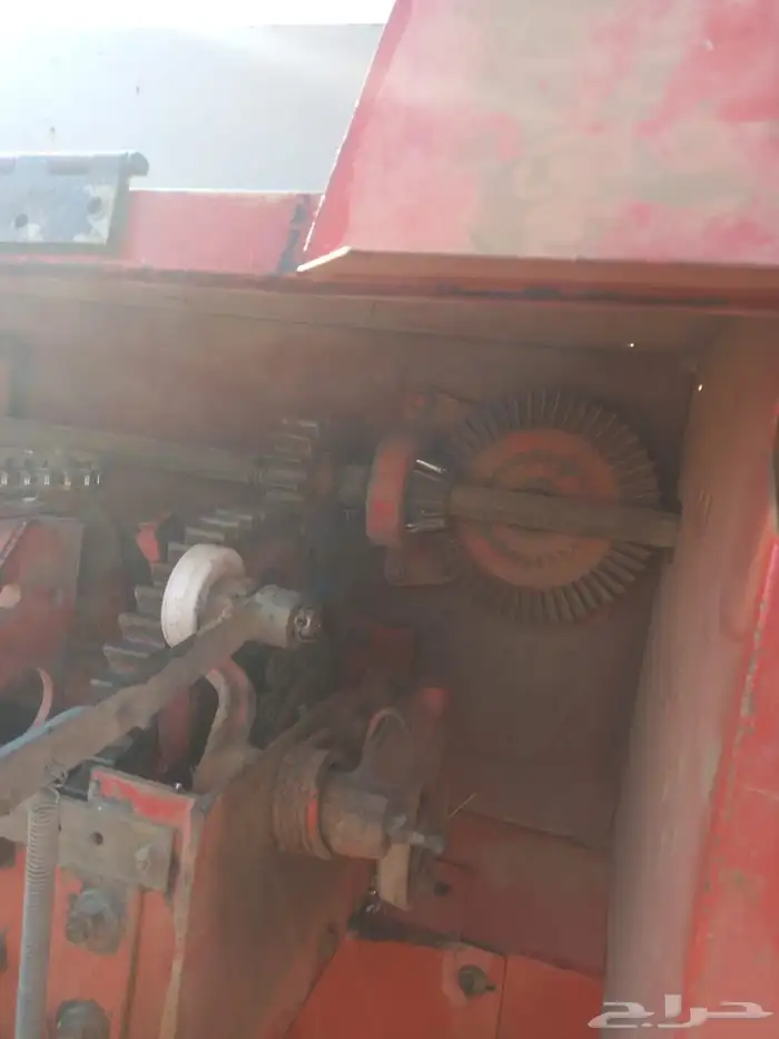 لبانه ولجر للبيع 2