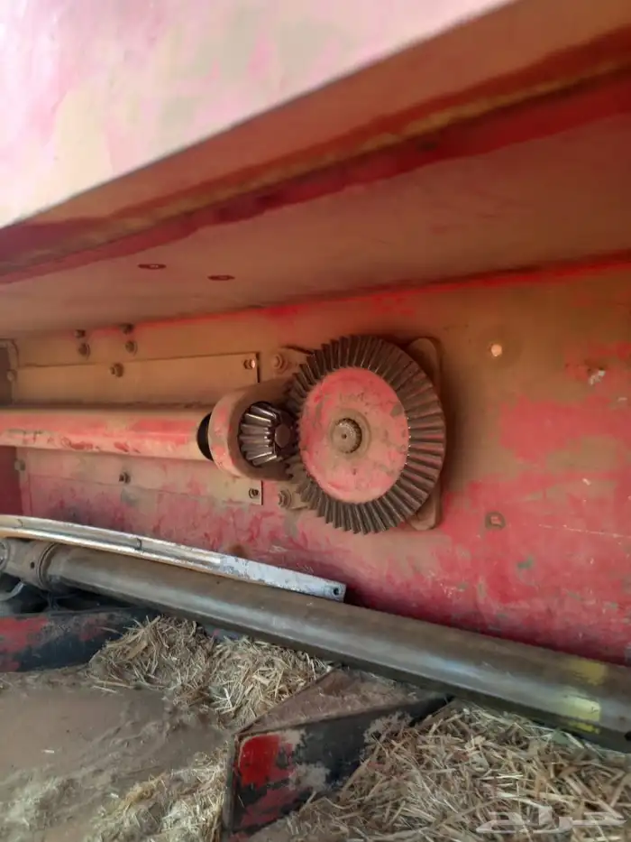 لبانه ولجر للبيع 5