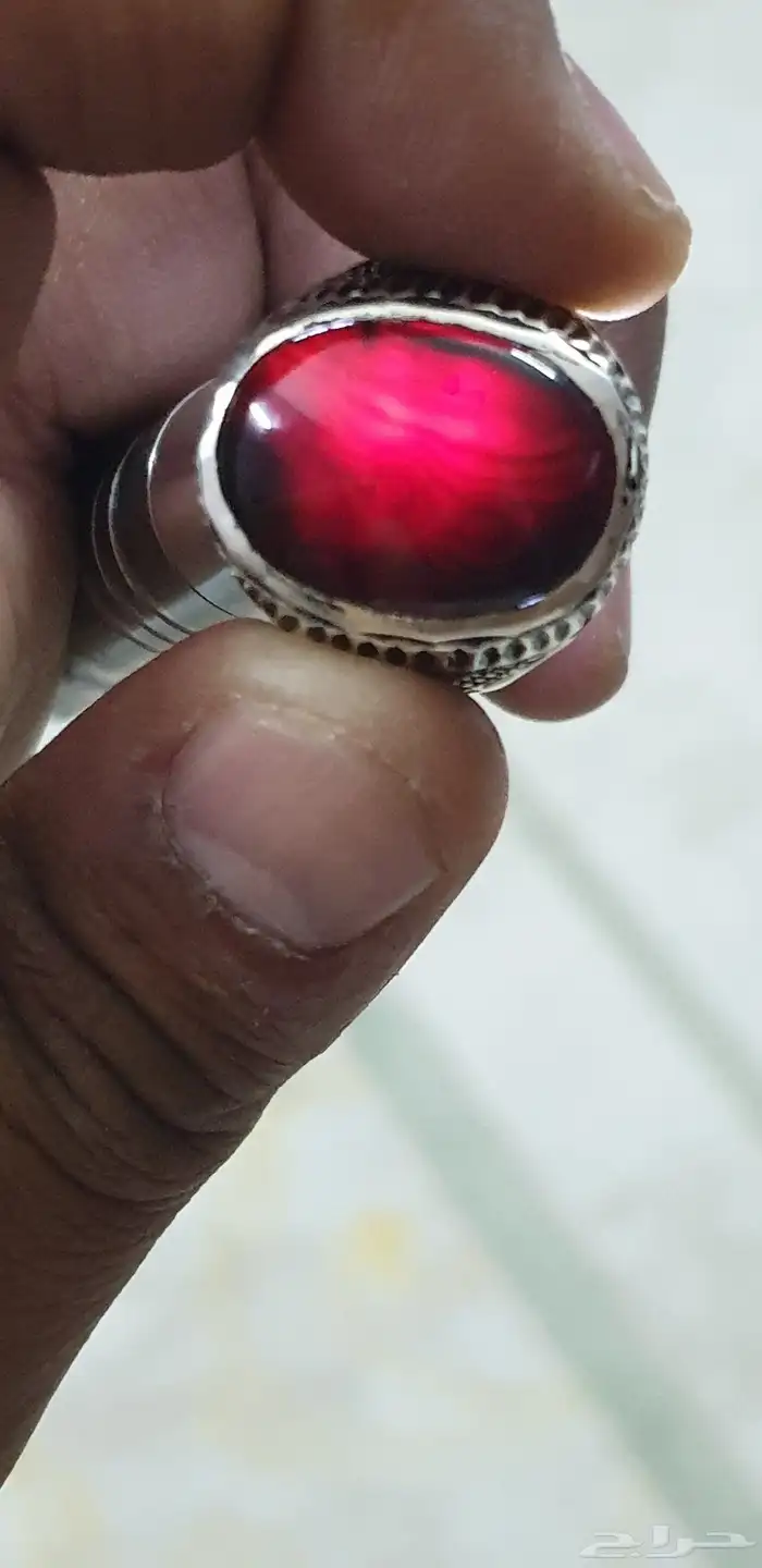 شفه عبد اليماني 1